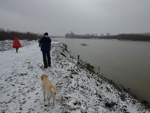 Foto ploaie la sfarsit de decembrie (c) Petru Goja